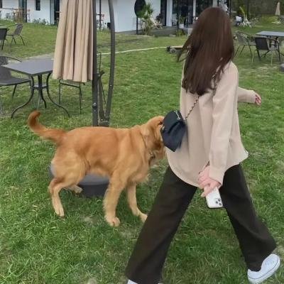 非凡管家